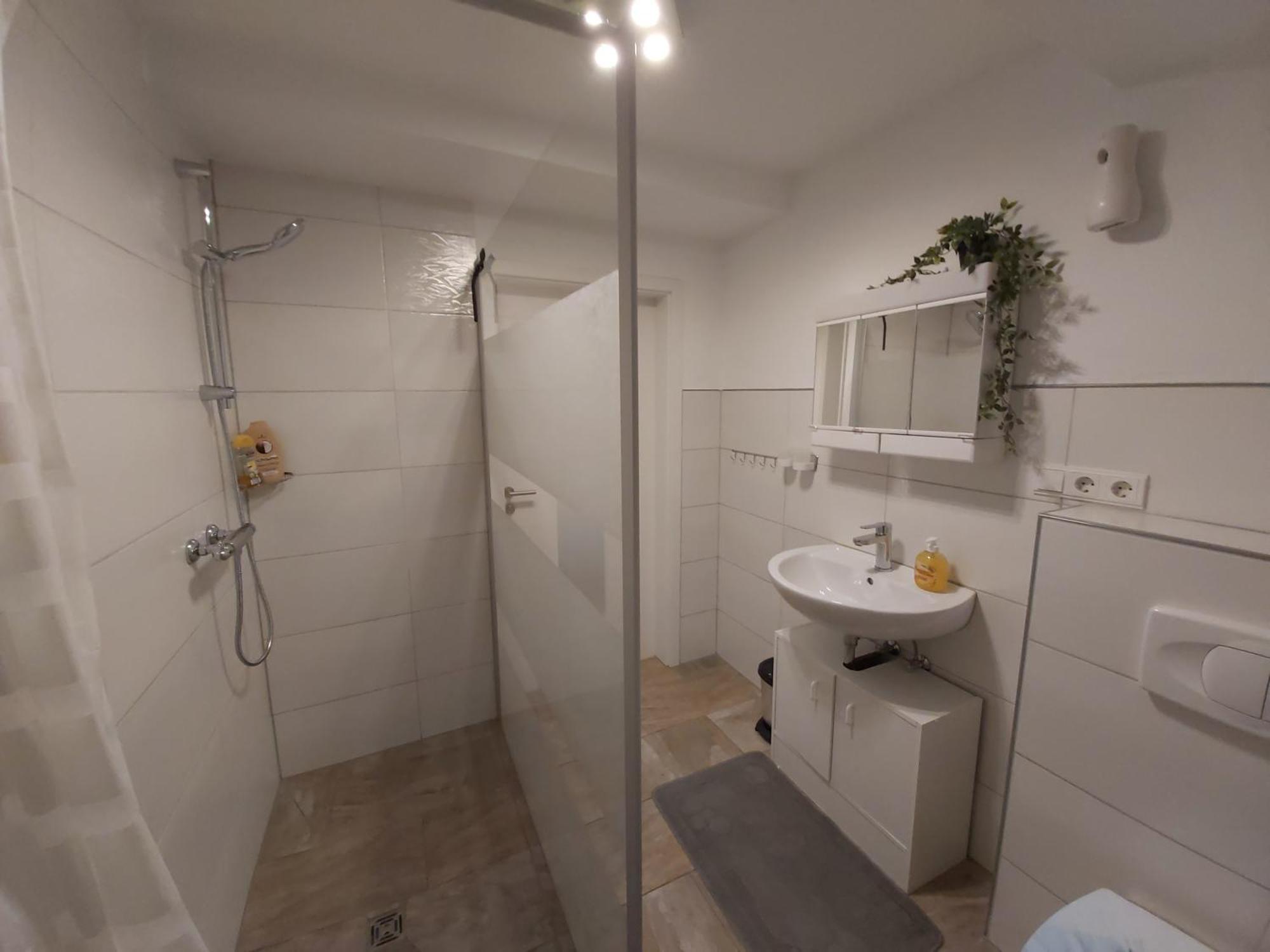 Albi Haus Winterberg Apartment Luaran gambar