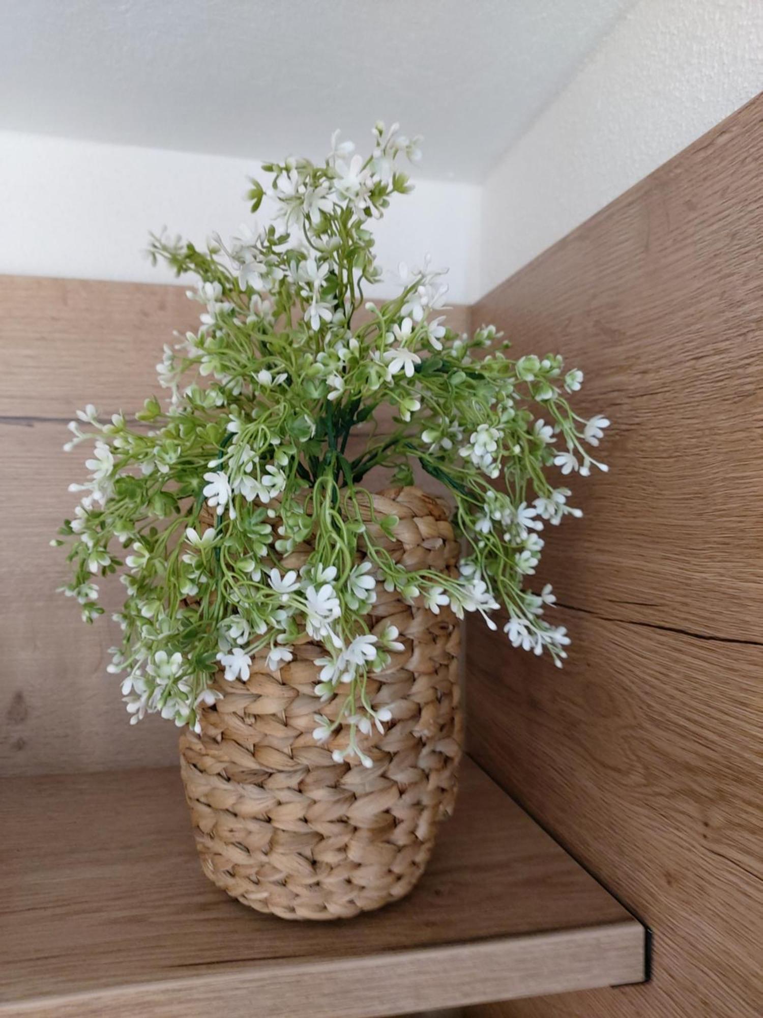 Albi Haus Winterberg Apartment Luaran gambar